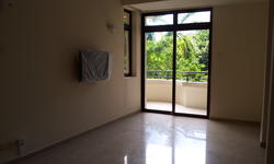 The Balmoral (D10), Condominium #155475892